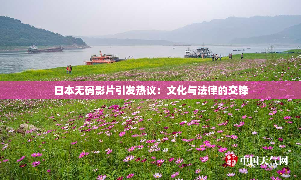 日本无码影片引发热议：文化与法律的交锋