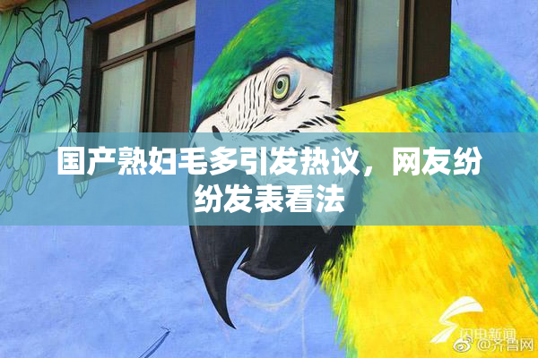 国产熟妇毛多引发热议，网友纷纷发表看法