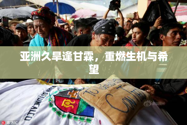 亚洲久旱逢甘霖，重燃生机与希望