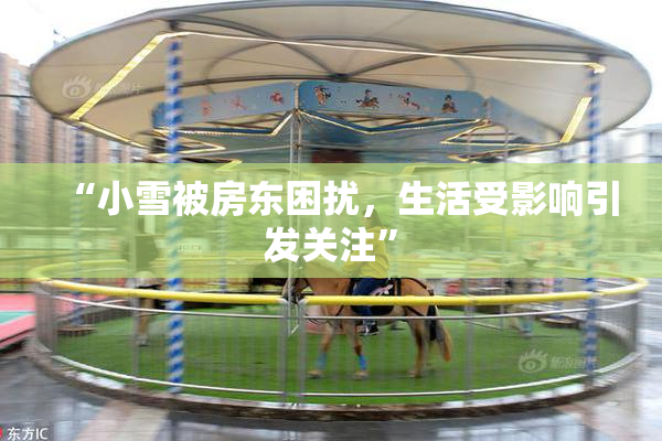 “小雪被房东困扰，生活受影响引发关注”