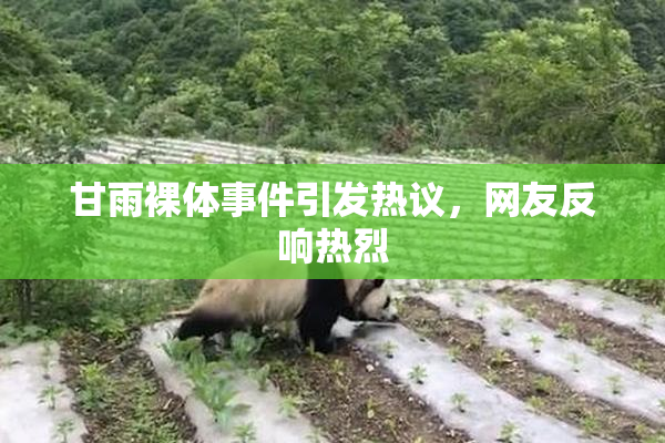 甘雨裸体事件引发热议，网友反响热烈