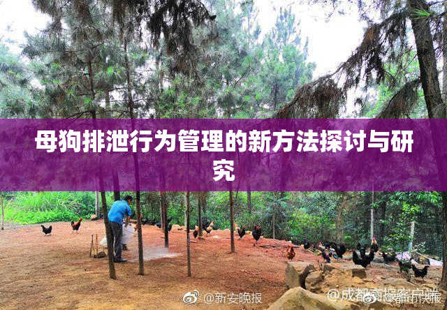 母狗排泄行为管理的新方法探讨与研究