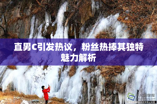 直男C引发热议，粉丝热捧其独特魅力解析