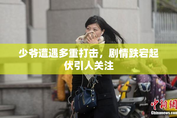 少爷遭遇多重打击，剧情跌宕起伏引人关注