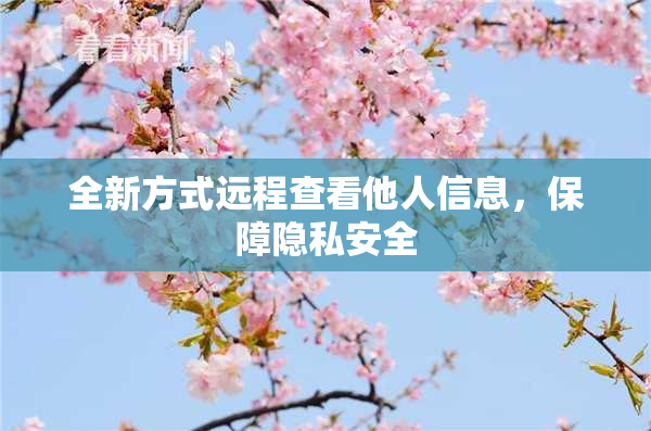 全新方式远程查看他人信息，保障隐私安全