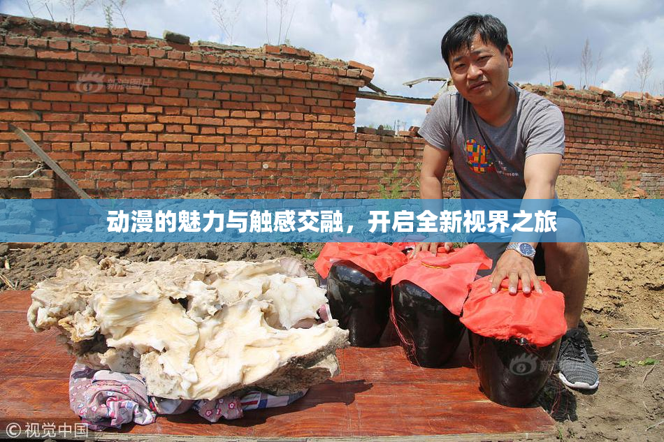 动漫的魅力与触感交融，开启全新视界之旅