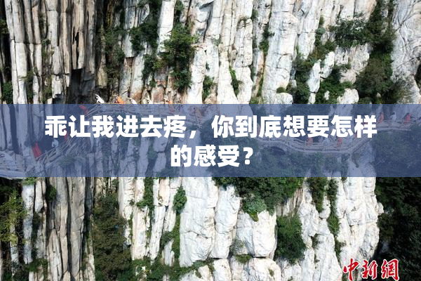 乖让我进去疼，你到底想要怎样的感受？
