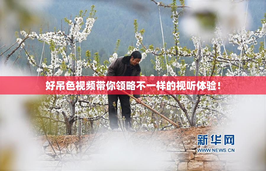 好吊色视频带你领略不一样的视听体验！
