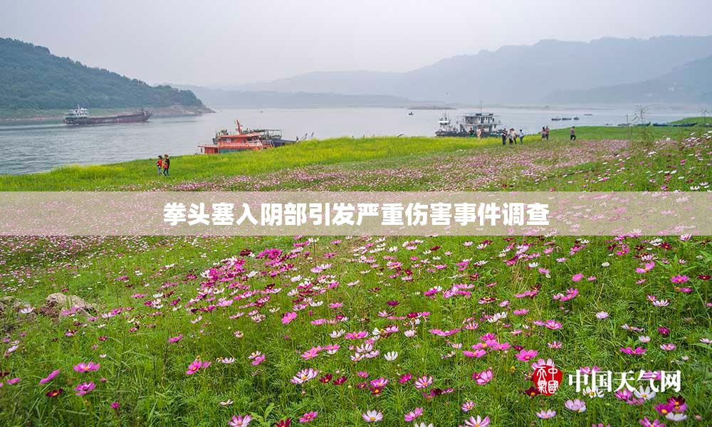 拳头塞入阴部引发严重伤害事件调查
