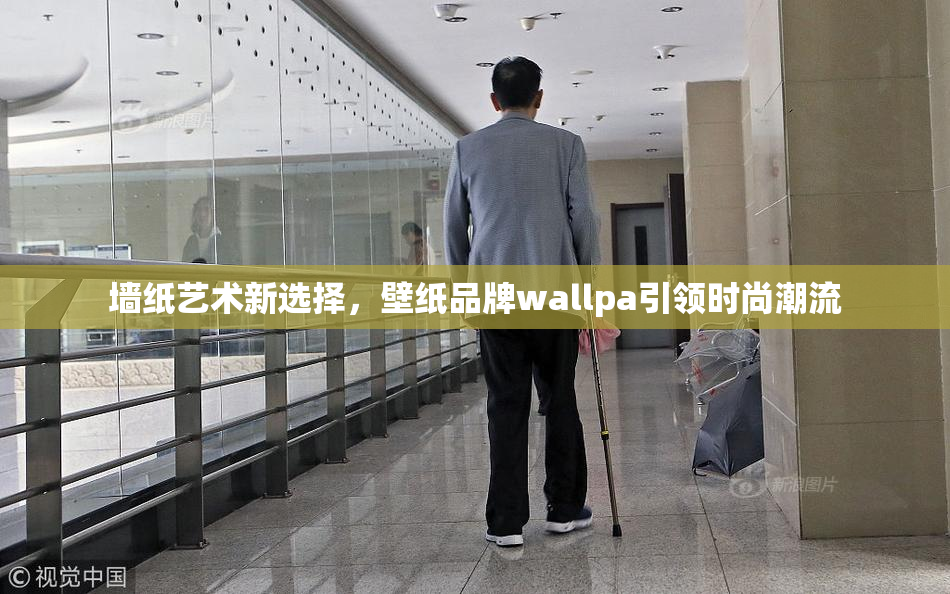 墙纸艺术新选择，壁纸品牌wallpa引领时尚潮流