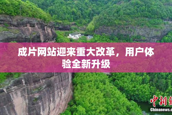 成片网站迎来重大改革，用户体验全新升级