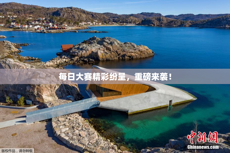 每日大赛精彩纷呈，重磅来袭！
