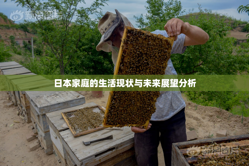 日本家庭的生活现状与未来展望分析