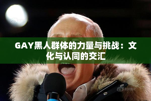 GAY黑人群体的力量与挑战：文化与认同的交汇