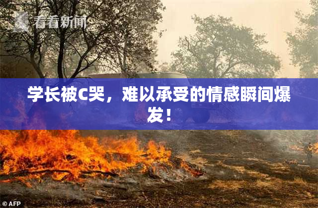 学长被C哭，难以承受的情感瞬间爆发！