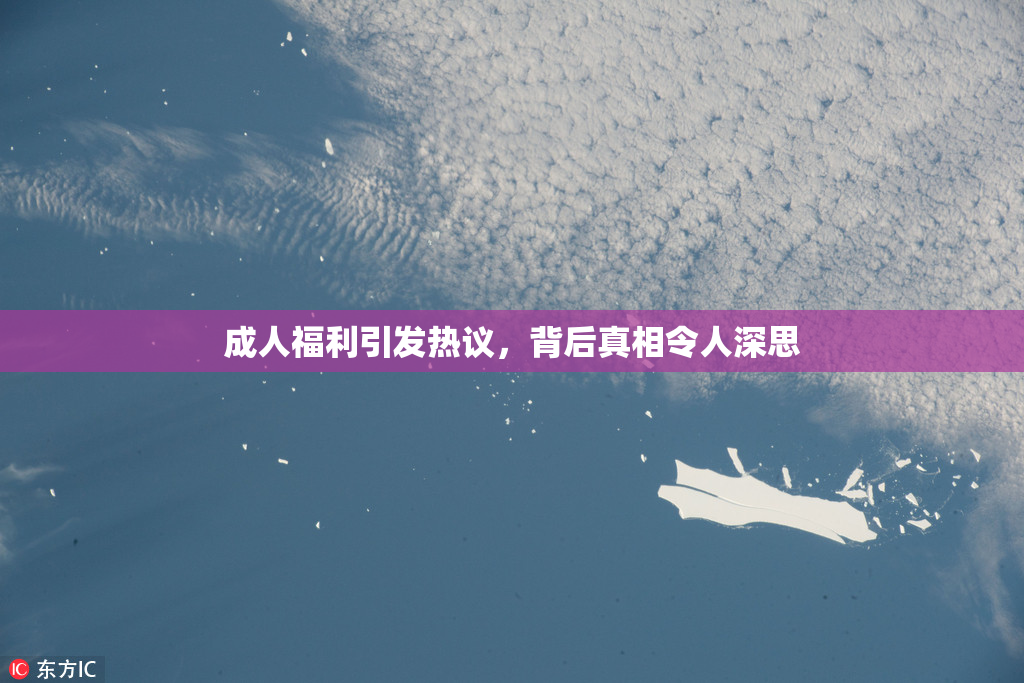 成人福利引发热议，背后真相令人深思
