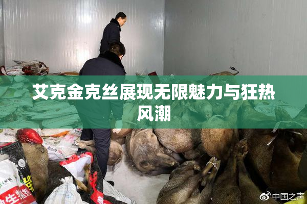 艾克金克丝展现无限魅力与狂热风潮