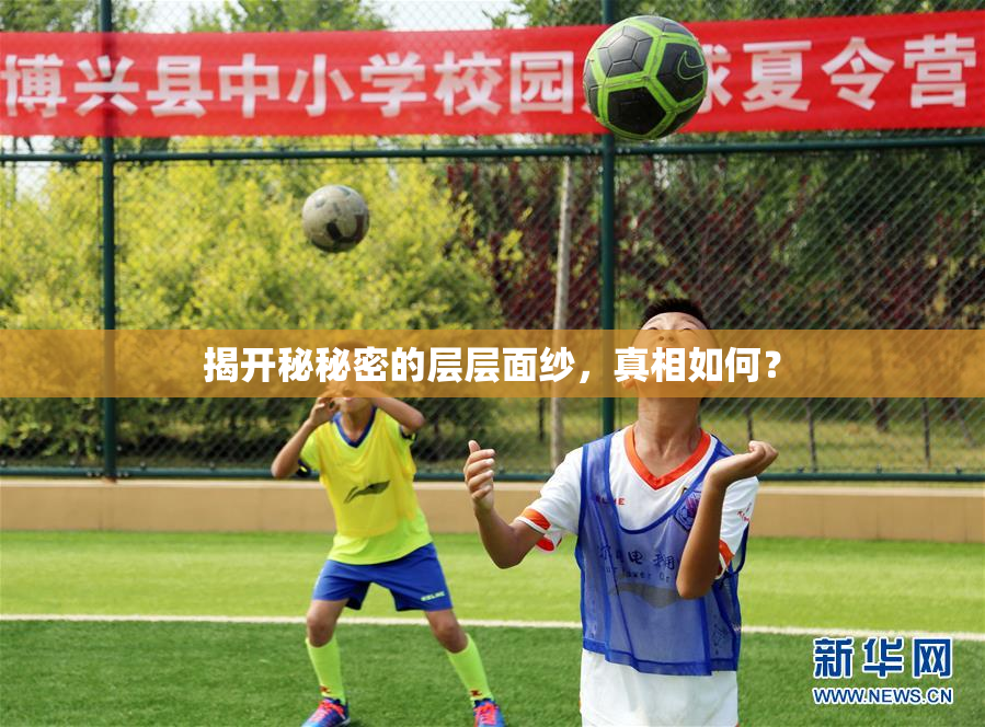 揭开秘秘密的层层面纱，真相如何？