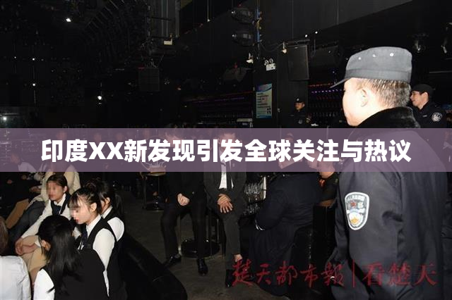 印度XX新发现引发全球关注与热议