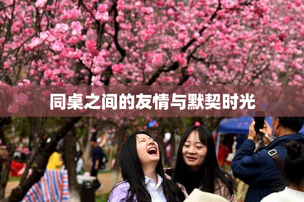 同桌之间的友情与默契时光