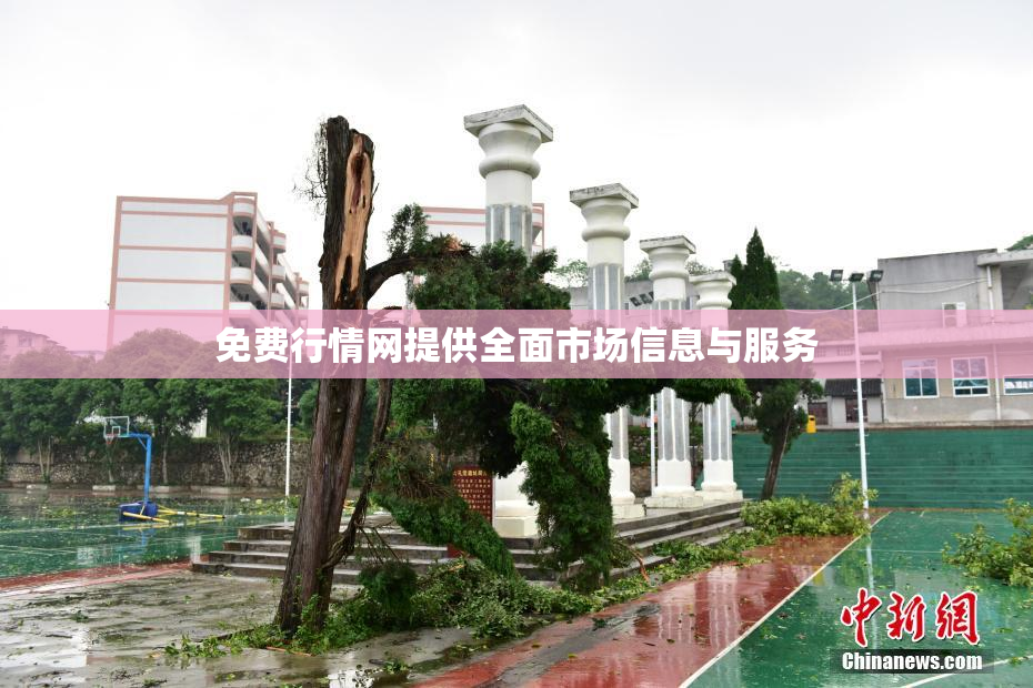 免费行情网提供全面市场信息与服务