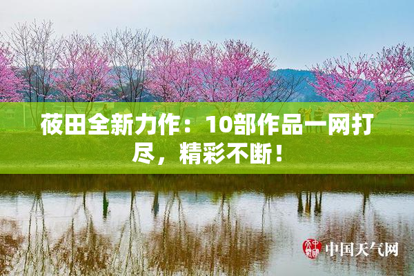 莜田全新力作：10部作品一网打尽，精彩不断！