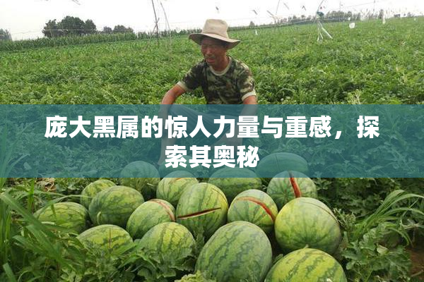 庞大黑属的惊人力量与重感，探索其奥秘