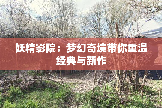 妖精影院：梦幻奇境带你重温经典与新作