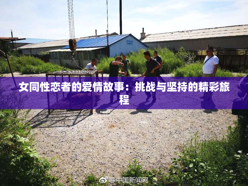 女同性恋者的爱情故事：挑战与坚持的精彩旅程