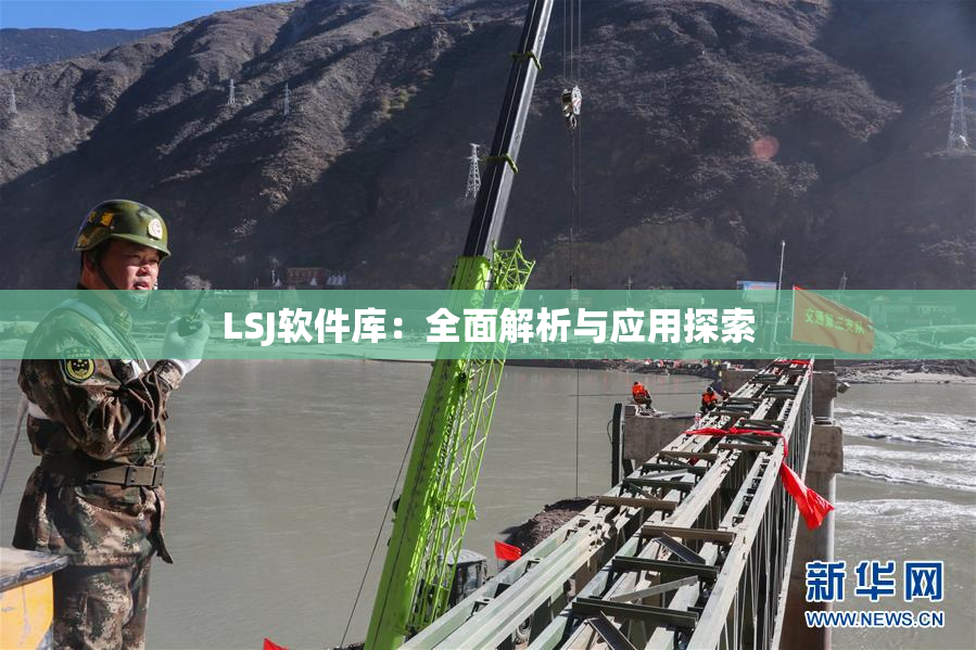 LSJ软件库：全面解析与应用探索