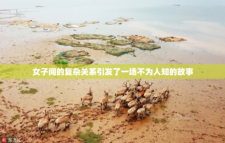 女子间的复杂关系引发了一场不为人知的故事