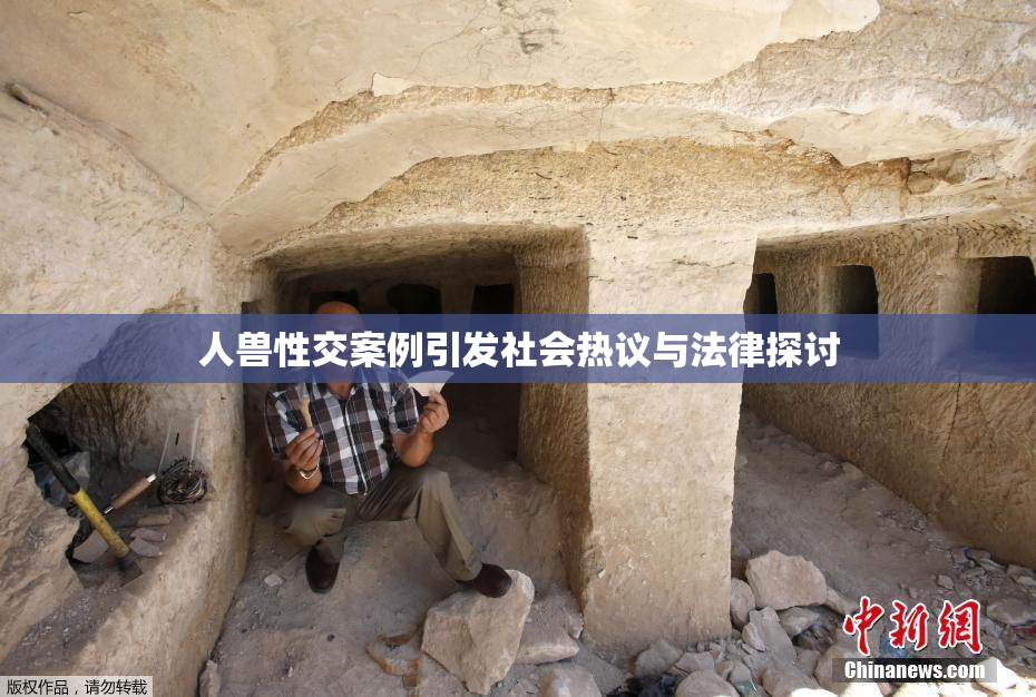 人兽性交案例引发社会热议与法律探讨