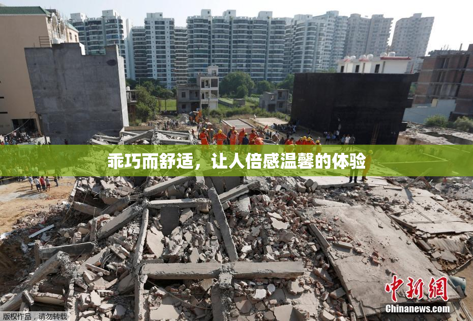 乖巧而舒适，让人倍感温馨的体验