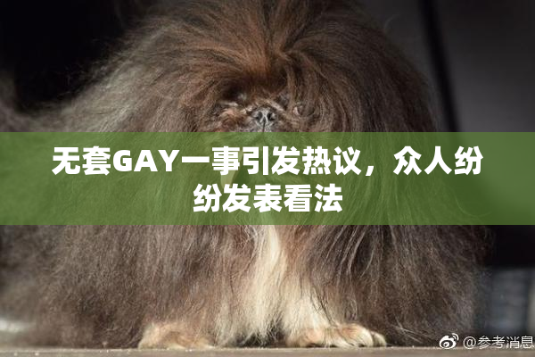 无套GAY一事引发热议，众人纷纷发表看法