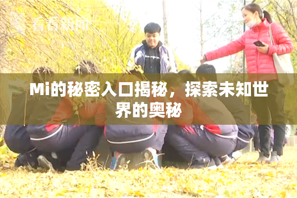 Mi的秘密入口揭秘，探索未知世界的奥秘