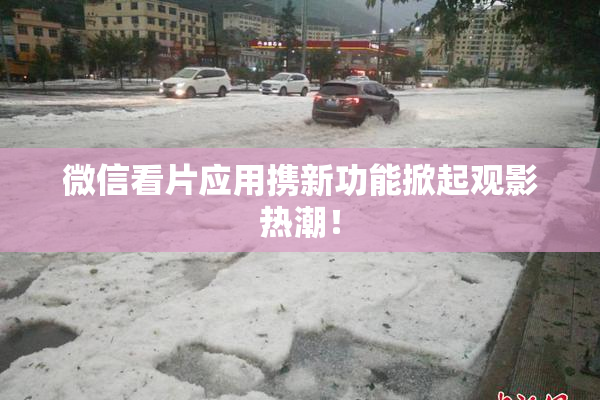 微信看片应用携新功能掀起观影热潮！
