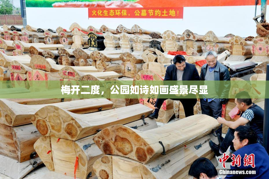 梅开二度，公园如诗如画盛景尽显