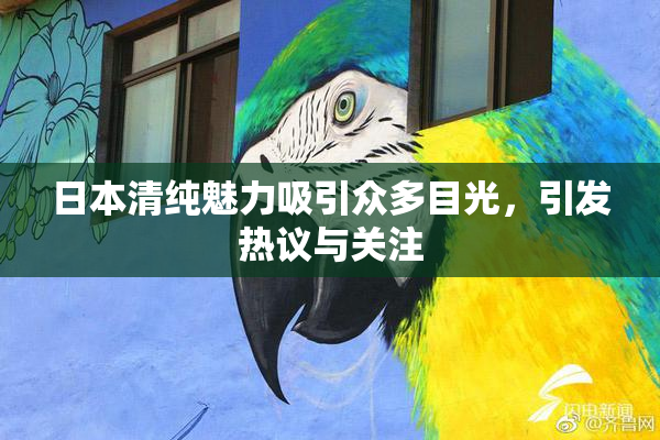 日本清纯魅力吸引众多目光，引发热议与关注