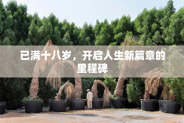 已满十八岁，开启人生新篇章的里程碑