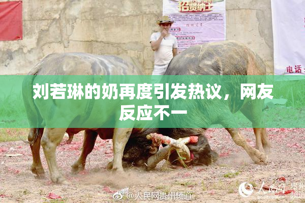 刘若琳的奶再度引发热议，网友反应不一