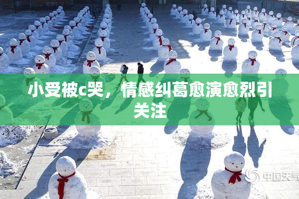 小受被c哭，情感纠葛愈演愈烈引关注