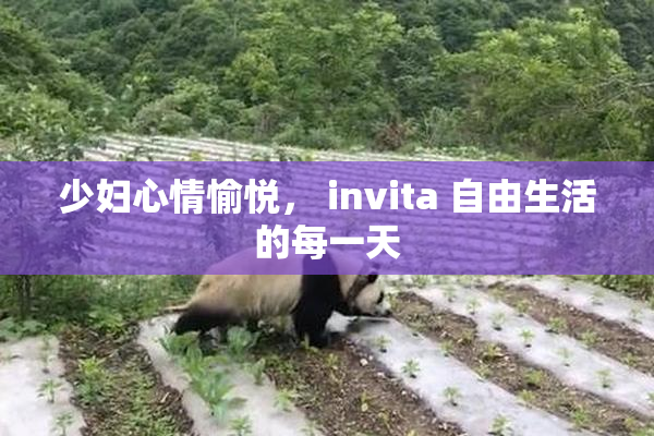 少妇心情愉悦， invita 自由生活的每一天