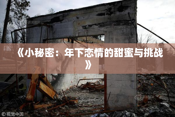 《小秘密：年下恋情的甜蜜与挑战》