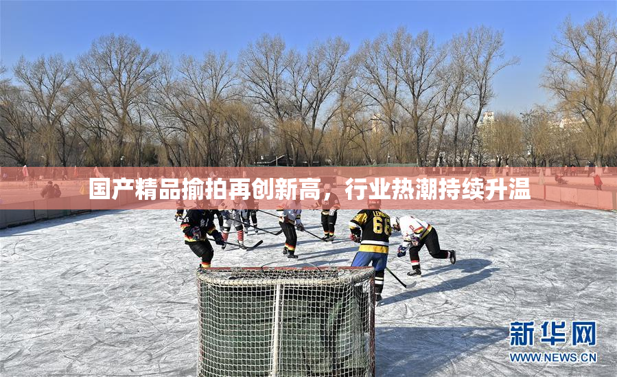 国产精品揄拍再创新高，行业热潮持续升温