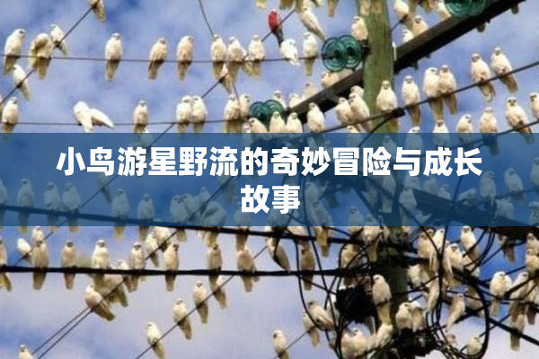 小鸟游星野流的奇妙冒险与成长故事