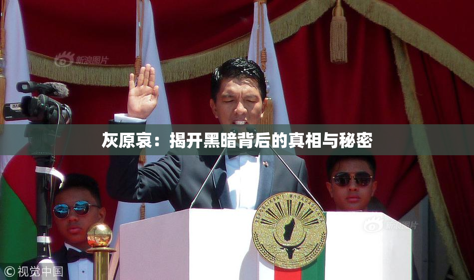 灰原哀：揭开黑暗背后的真相与秘密