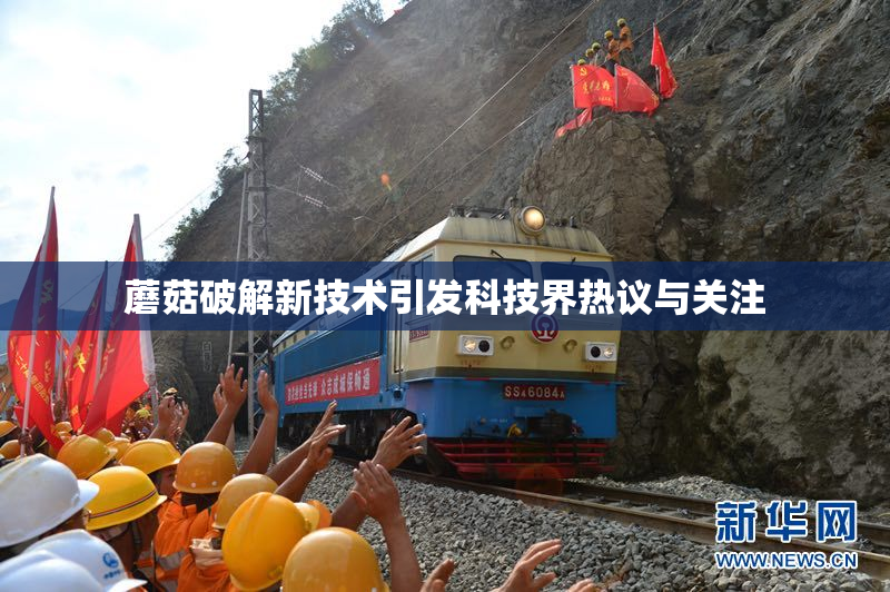 蘑菇破解新技术引发科技界热议与关注