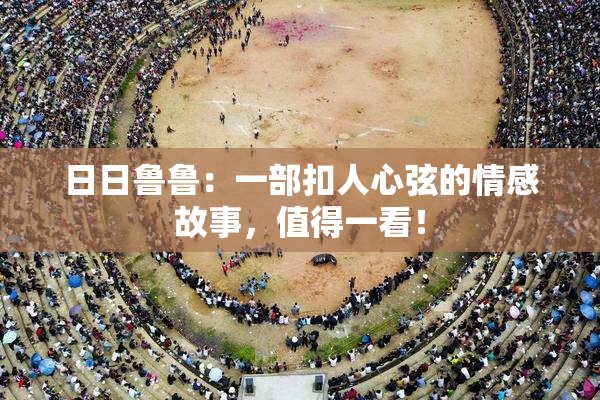 日日鲁鲁：一部扣人心弦的情感故事，值得一看！
