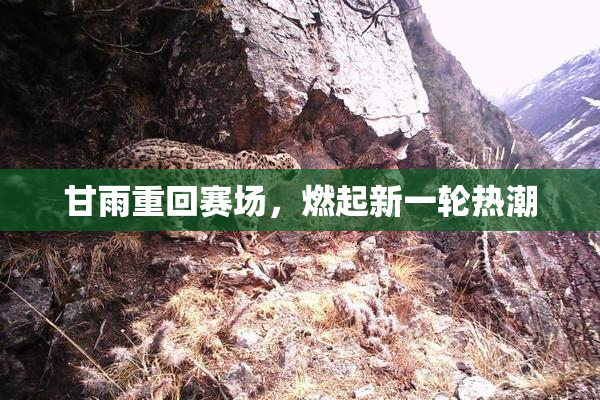 甘雨重回赛场，燃起新一轮热潮