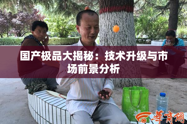 国产极品大揭秘：技术升级与市场前景分析
